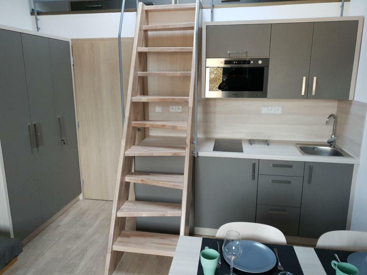 Apartman Pod Medvedi Horou Loučná nad Desnou Екстериор снимка