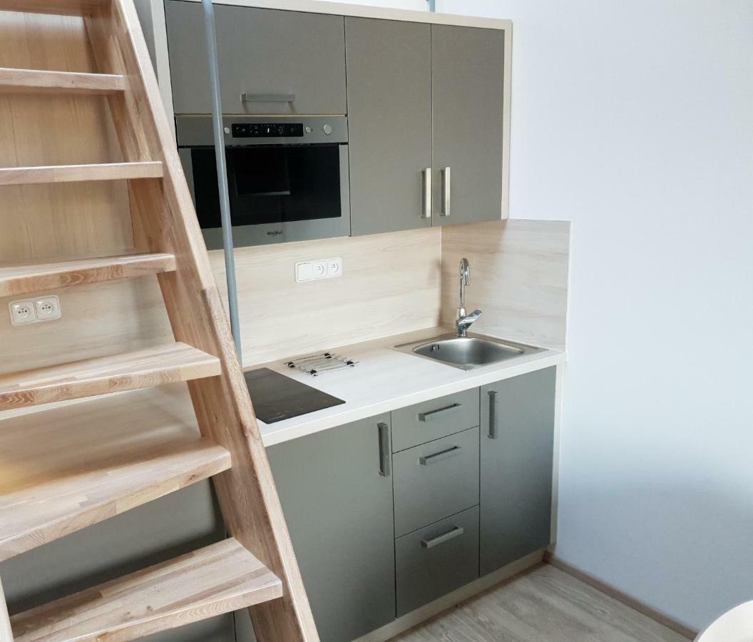 Apartman Pod Medvedi Horou Loučná nad Desnou Екстериор снимка