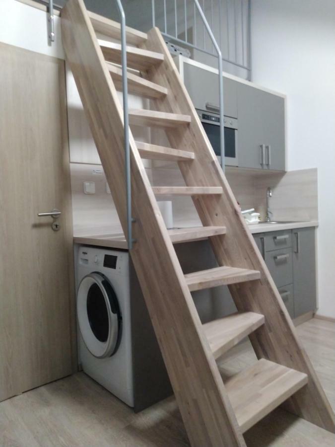 Apartman Pod Medvedi Horou Loučná nad Desnou Екстериор снимка