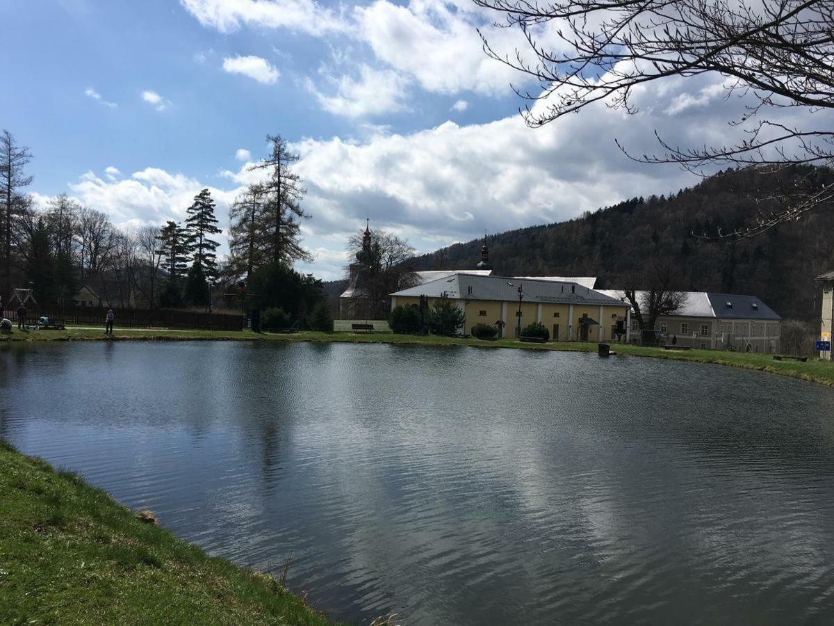 Apartman Pod Medvedi Horou Loučná nad Desnou Екстериор снимка